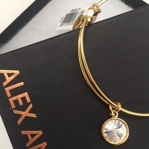 Alex and Ani Crystal birthstone bracelet